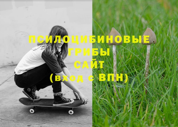 прущий лед Вязники