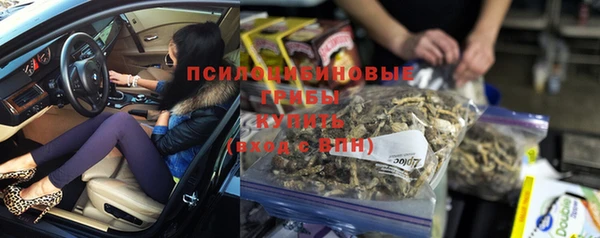прущий лед Вязники