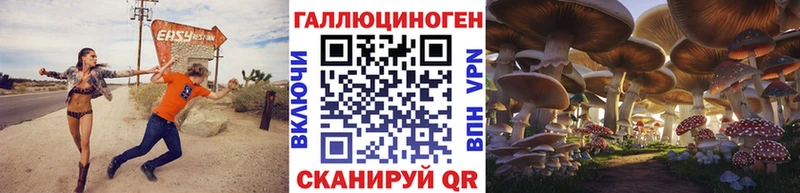 Купить  Старая Купавна  Галлюциногенные грибы Psilocybine cubensis 